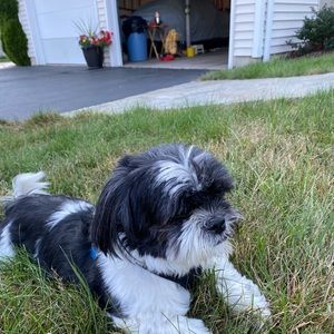 Meet your Posher, Carol